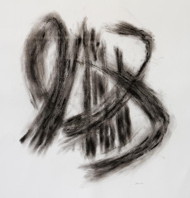 Hamburger, hand made charcoal, 36 X 33" 33 grams, 68 calories, 2016 calorie project